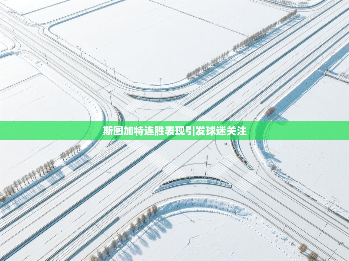 斯图加特连胜表现引发球迷关注  第1张