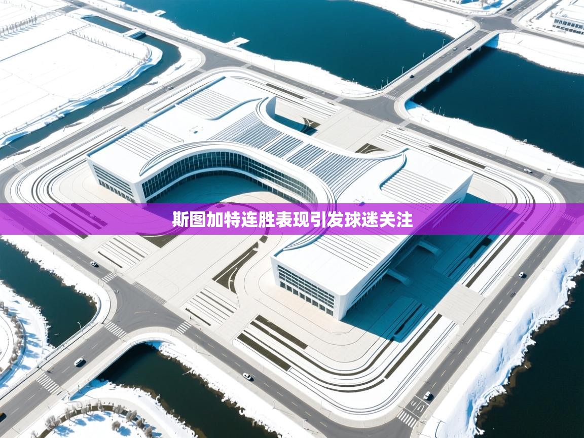 斯图加特连胜表现引发球迷关注  第2张